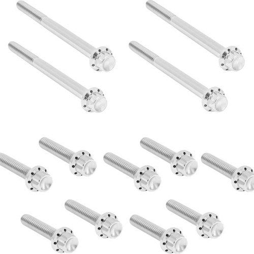 Arlen Ness Titanium Primary Cover Bolt Kit #300-929 Harley Davidson Softail