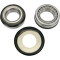 Pivot Works Steering Stem Bearing Kit #PWSSK-HD02-000 Harley Davidson/BMW