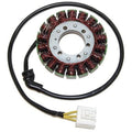 Electrosport Stator #ESK223 Harley Davidson