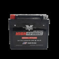 Twin Power YTX-20H High-Performance Agm Battery for Harley Davidson &