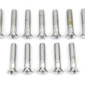 Chrome Cam Cover Stock Slotted Screws