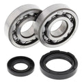 Yamaha YZ250, 1989-1997, Crankshaft Bearings & Seal Kit - Crank Shaft - YZ 250