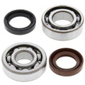 Yamaha TY175, 1975-1976, Crankshaft Bearings & Seal Kit - Crank Shaft - TY 175