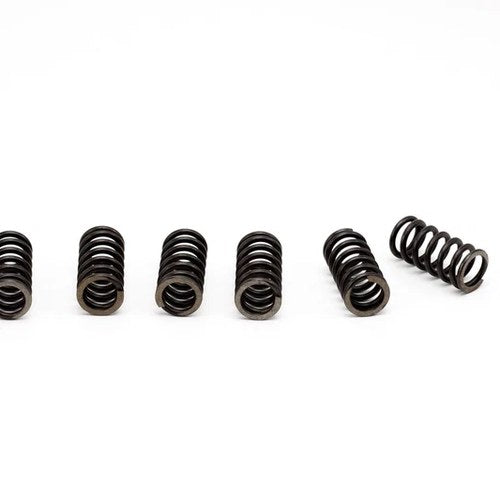Clutch Spring Kit for Suzuki RM60, 2003 - 6 Pieces - RM 60