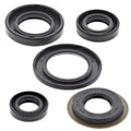 Yamaha TTR230, 2005-2017, Engine Crank/Crankshaft / Oil Seal Set - Ttr 230