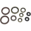 KTM Exc 530 & EXC-R 530, 2008-2011, Engine Crank/Crankshaft / Oil Seal Set