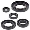 Honda XR650L, 1993-2015, Engine Crank/Crankshaft / Oil Seal Set - XR 650L