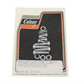 Colony 9776-10 Handlebar Switch Housing Screw Kit - Allen Type with Chrome
