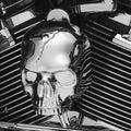 Kuryakyn Skull Horn Cover Chrome #5730 Harley Davidson