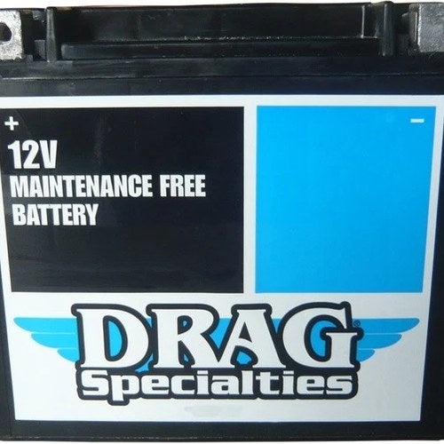 DS Agm Maintenance Free Battery #212244