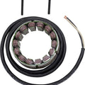 Rick's Motorsports Stator #21-031 Ducati