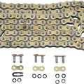 Regina 520 Zse Series Enduro Z-Ring Chain 118 Links