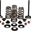 Kibblewhite Black Diamond Complete Engine Valve Kit #20-22850