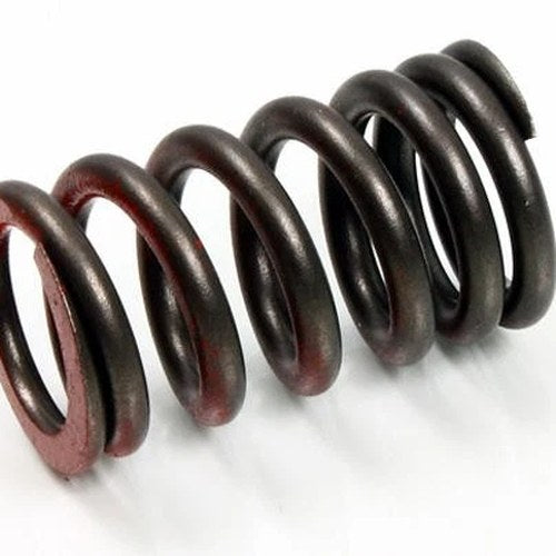 Psychic Intake Valve Spring #XU-09533IS for Honda CRF450R 2009-2016