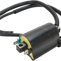 Emgo Ignition Coil Honda VTX1800/VT600/VT1100/CBR 1100/Pacific Coast/Hawk GT