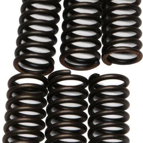 Ebc Csk Clutch Springs #CSK244 Triumph Street Twin/Bonneville
