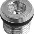 DS Magnetic Drain Plug With O-Ring 5/16"-18