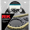 RK 520 Quick Acceleration Chain & Sprocket Kit Black/Gold #2108-119PGX