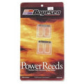 Boyesen Power Reeds #6TR134 Beta Evo 80 JR/EVO 80 SR