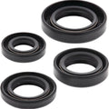 Moose Oil Seal Kit #293060 for Honda XR100R/CRF100F