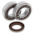 Moose Crank Bearing & Seal Kit #24-1106 KTM