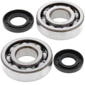 Moose Crankshaft Bearing and Seal Kit Kawasaki KX250/KDX250