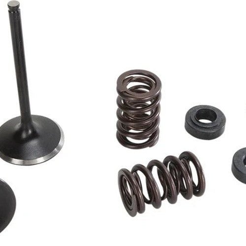 Moose Exhaust Valve/Spring Kit Yamaha YZ450F/YZ450FX