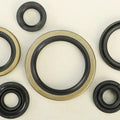 Vertex-Winderosa Engine Oil Seal Kit for Suzuki RM250 1996-2002