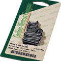 Gardner-Westcott Master Cylinder Cover & Switch Housing Bolts Chrome #C-74-150Y