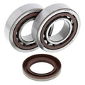 All Balls Crank Shaft Bearing Kit #24-1106 KTM