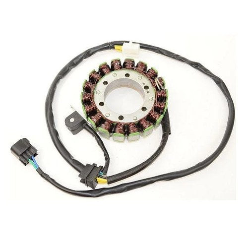 Electrosport Stator #ESG309 fits Suzuki DR650SE 2006-2009/2011