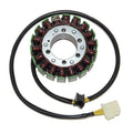 Electrosport Stator #ESG709 Ducati