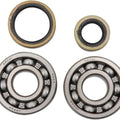 Hot Rods Main Bearing and Seal Kit #K233 fits Suzuki RM85/RM85L