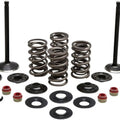 Kibblewhite Black Diamond Complete Engine Valve Kit #20-22750
