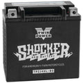 Twin Power Shocker Battery YTX14L-BS #GHDZ14HL-BS Harley Davidson
