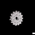 Vortex Racing Steel Front Sprocket 520 14 Tooth - Silver for Powersports