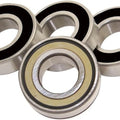 DS Wheel Bearing Kit Rear Harley Davidson
