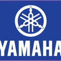 Dcor Brand Decal Squared for Yamaha Icon 3"