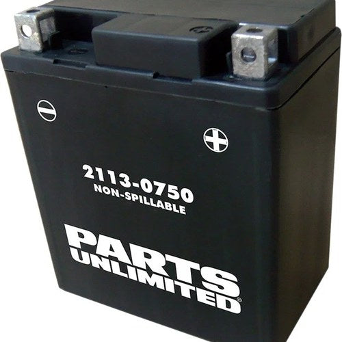 Parts Unlimited Agm Maintenance Free Battery 12V YTX7L #266544