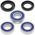 Rear Wheel Bearings and Seals for Suzuki DR250, 1990-1993 - DR 250