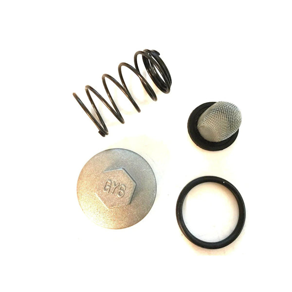 Oil Filter Strainer Cap Seal Spring For GY6 50cc 125cc 150cc 4 Storke Scooter
