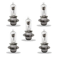5 Bombillas Puntiagudas Para Scooter 12V 35/35W 50CC 150CC 250CC Znen Jonway Tan
