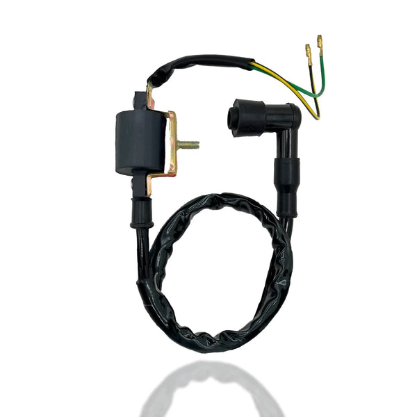 Dirt Bike Parts Pit Bike Ignition Coil 2 Wire SSR Baja Motorsports Nst 50-110CC