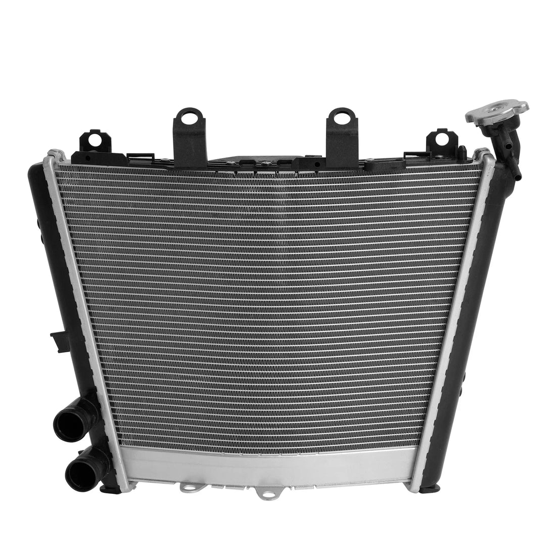 Radiator Cooler Fit For BMW M1000RR S1000R 2021-2026 S1000RR 2019-2026